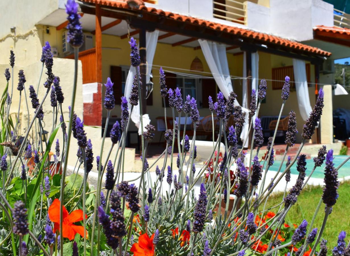 Villa Krini Skiathos stad Exteriör bild