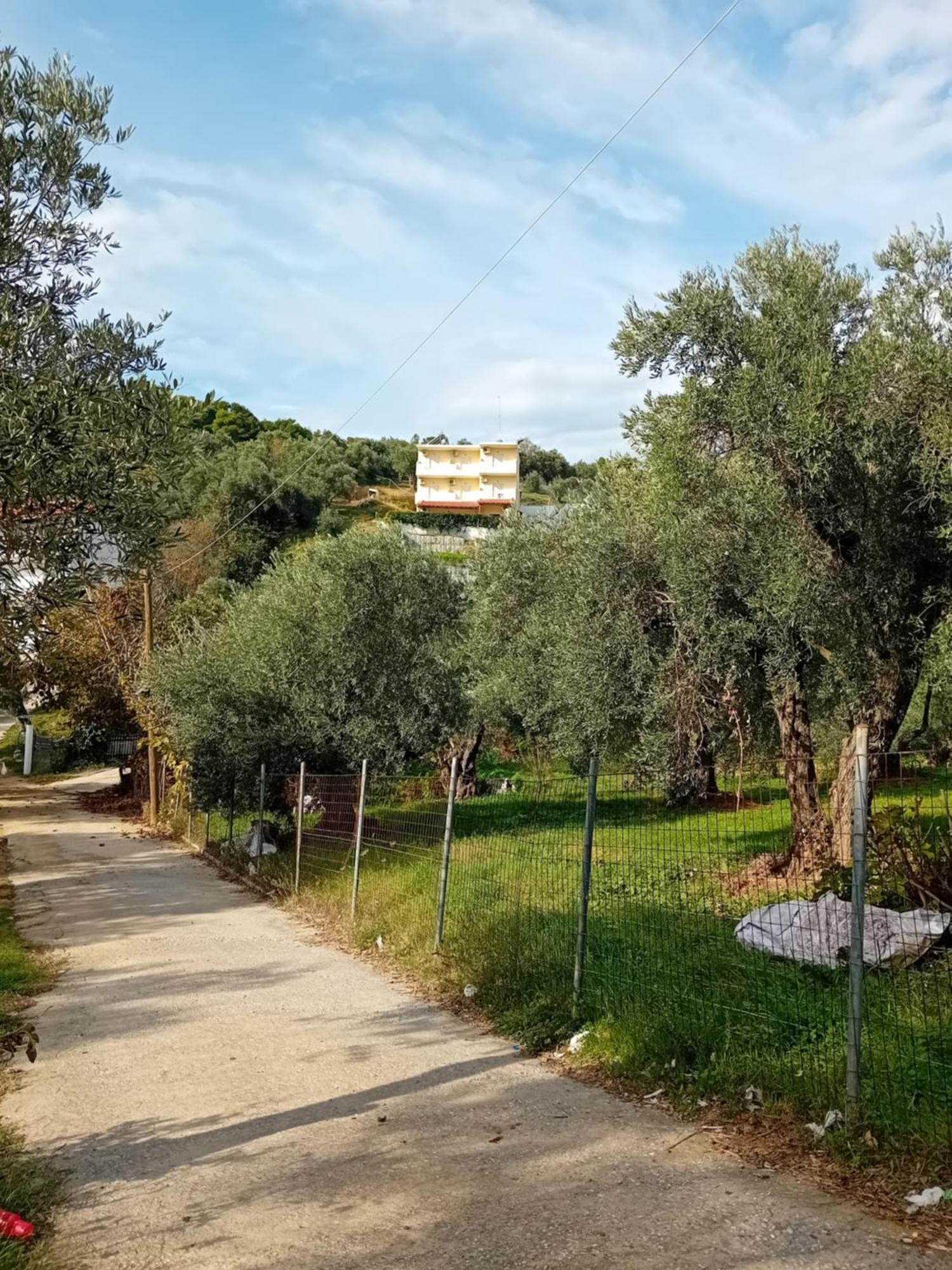 Villa Krini Skiathos stad Exteriör bild