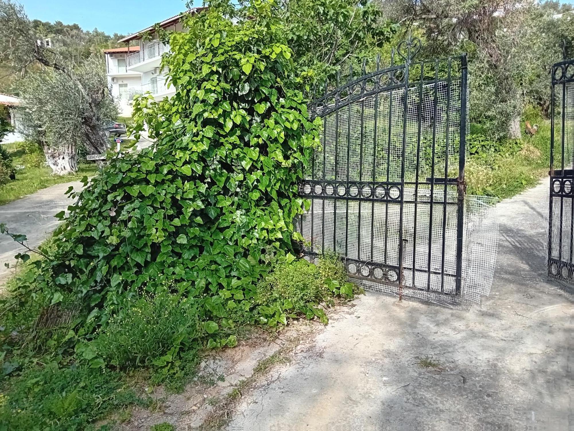 Villa Krini Skiathos stad Exteriör bild